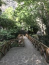 Old mysterious bridge around dark green trees