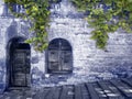 A Old Mysterious Wall with Grapes Plant in the Blue. Royalty Free Stock Photo