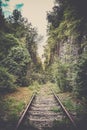 Old mystic railroad in a forest