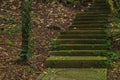 Old mystical road in the forest. Steps sprouted with moss in the forest