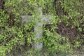 An old nameless cross in a cemetery overgrown with shrubs