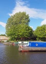 old narrow boats converted to houseboats moored in the marina at brighouse basin in west yorkshire surrounded by trees and a Royalty Free Stock Photo