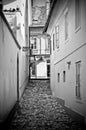 Old narrow street in Ljubljana Royalty Free Stock Photo