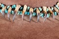 Old Native American Lakota necklace made of raptor claws and turquoise stones on brown felt