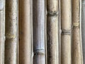 old natural brown bamboo wood trunks cut in half Royalty Free Stock Photo