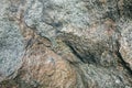 Old natural grey stone texture background Royalty Free Stock Photo