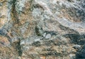 Old natural grey stone texture background Royalty Free Stock Photo