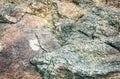 Old natural grey stone texture background Royalty Free Stock Photo