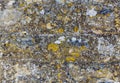 Old natural stone covered with black lichen and moss Royalty Free Stock Photo