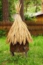 Old natural wooden bees hive with a straw roof and mushrooms