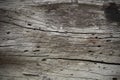 Old natural wooden shabby background close up Royalty Free Stock Photo