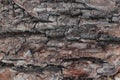 Old natural wooden shabby background close up, old wood background, texture of bark wood use as natural background Royalty Free Stock Photo