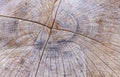 Old natural wooden shabby background close up. The perfect backdrop for a presentation Royalty Free Stock Photo