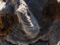 Old natural wooden shabby background close up.Wooden texture background Royalty Free Stock Photo