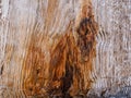 Old natural wooden shabby background close up.Wooden texture background Royalty Free Stock Photo