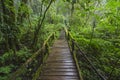 Old nature trail bridge in the forest of rainforest Royalty Free Stock Photo