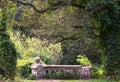 Old neglected garden with bits and pieces of rails Royalty Free Stock Photo