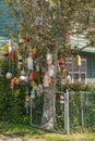 Old netting floats decorating a tree near Long beach Washington Royalty Free Stock Photo