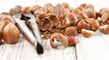 Old nutcracker and hazelnuts on white wooden background Royalty Free Stock Photo