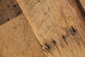 Old oak barnwood texture background