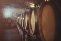 Old oak barrels in a wine cellar Royalty Free Stock Photo