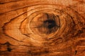 Old oak board wood knot Royalty Free Stock Photo