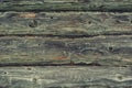 Old oak texture