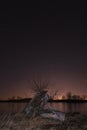 Old oak tree on pond shore under starry night sky. Czech astronomy landscape Royalty Free Stock Photo