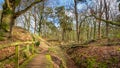 Wolfhezer heath nature momument area in Gelderland, Netherlands