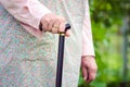 Old obese woman walking with stick Royalty Free Stock Photo