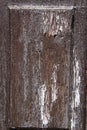 Old oil paint peeling away from wood darl brown surface Royalty Free Stock Photo