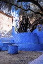 Old olive tree next to the staircase of blue town at Chefchaouen