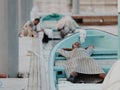 Omani Men sleeping in Boat