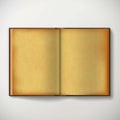 Old open antique book with open blank sheets Royalty Free Stock Photo