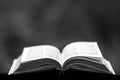 Old open bible book in blur nature background. The Book of Books is a collection of sacred texts or scriptures. Black white