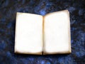 Old open book with blank sheets Royalty Free Stock Photo
