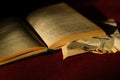 Old open book with blurred text and torn page, in dark settings Royalty Free Stock Photo