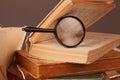 old open book and magnifying glass. Royalty Free Stock Photo