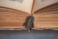 An old open book, a photo with a close-up. Royalty Free Stock Photo