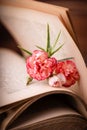 Old open book and pink white carnation flower Royalty Free Stock Photo