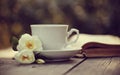 Old open book and a white cup with a wild roses Royalty Free Stock Photo