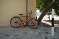 An old orange bicycle is standing on the sand path locked to a tree. Old Apache orange cycle chained to a tree. Man`s Cycle with