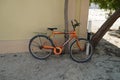 An old orange bicycle is standing on the sand path locked to a tree. Old Apache orange cycle chained to a tree. Man`s Cycle with