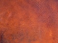 Old orange brown cattle leather texture background
