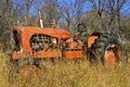 Old orange tractor with fall foliage Royalty Free Stock Photo