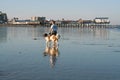 Old Orchard Beach, Maine