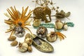 Old oriental souvenirs of wooden elephant, turquoise beads, brass slipper in the form of ashtrays, dry buds, thorns, shells on whi