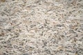 An old oriented strand board OSB , fiberboard background of texture. Sheet is made of brown wood chips pressed together into a woo Royalty Free Stock Photo