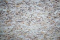An old oriented strand board OSB , fiberboard background of texture. Sheet is made of brown wood chips pressed together into a woo Royalty Free Stock Photo