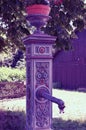 Old ornate cast iron village fountain with flower pot Royalty Free Stock Photo